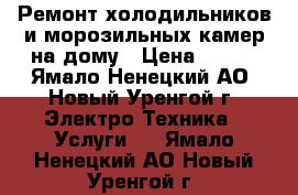 Ремонт холодильников и морозильных камер на дому › Цена ­ 500 - Ямало-Ненецкий АО, Новый Уренгой г. Электро-Техника » Услуги   . Ямало-Ненецкий АО,Новый Уренгой г.